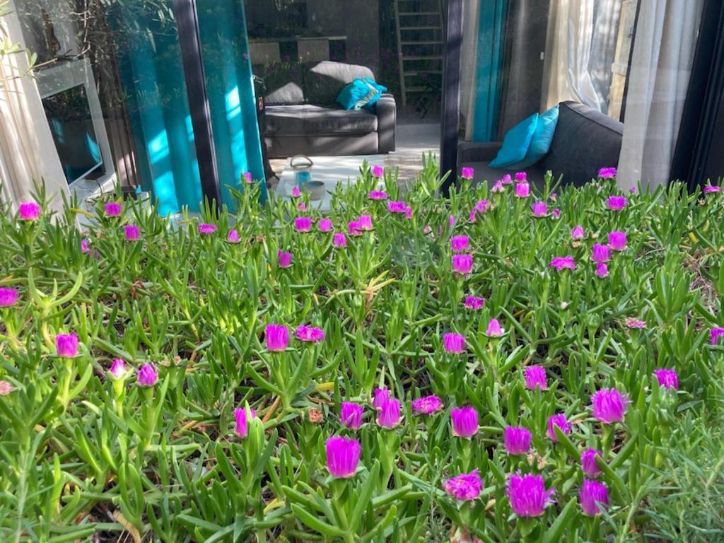 Azuromarin Villa Gassin Dış mekan fotoğraf
