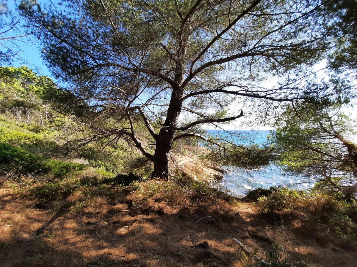 Azuromarin Villa Gassin Dış mekan fotoğraf