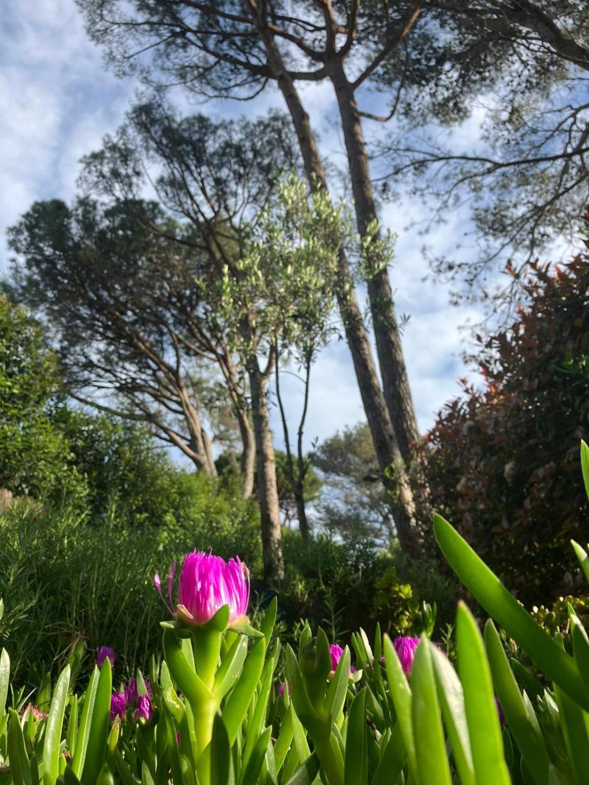 Azuromarin Villa Gassin Dış mekan fotoğraf